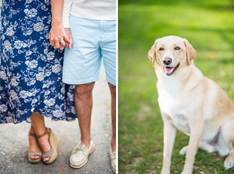 outdoor dog and hands