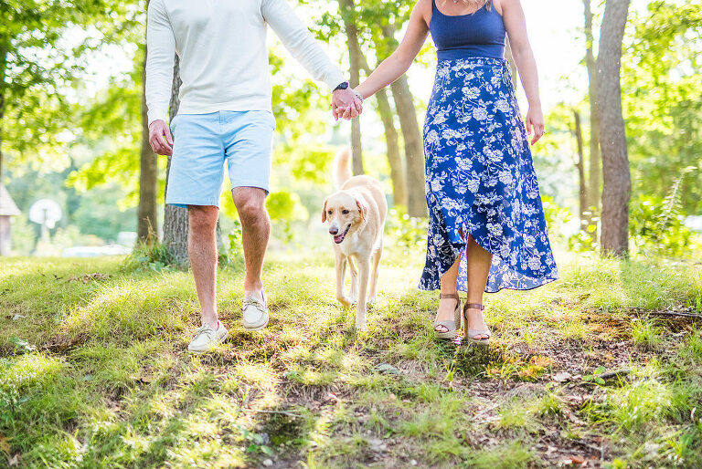 outdoor hand holding with dog