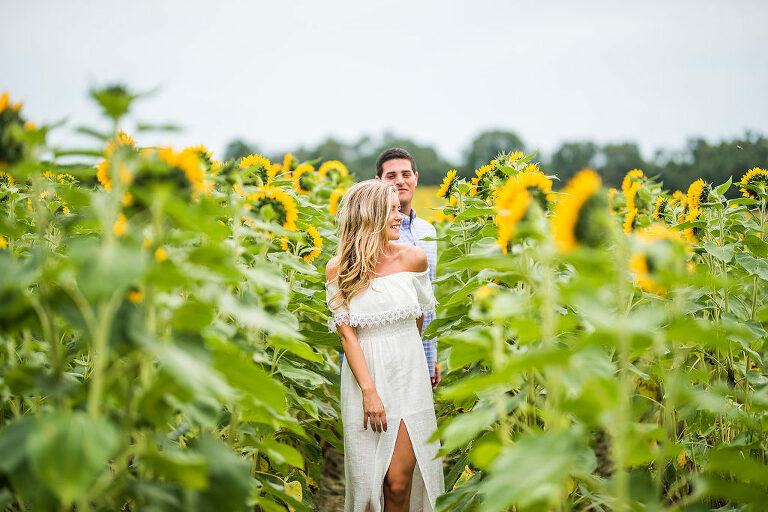 walk in the sunflowers romantic engagement