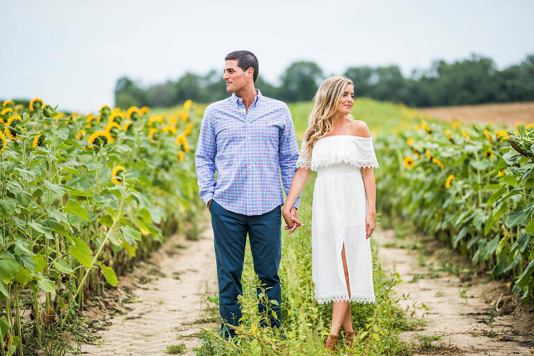 sunflowers romantic engagement look away