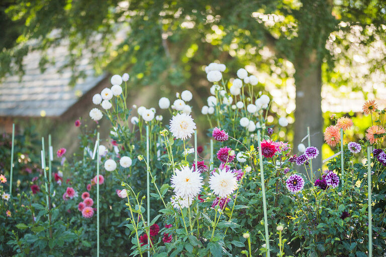 florals garden wedding