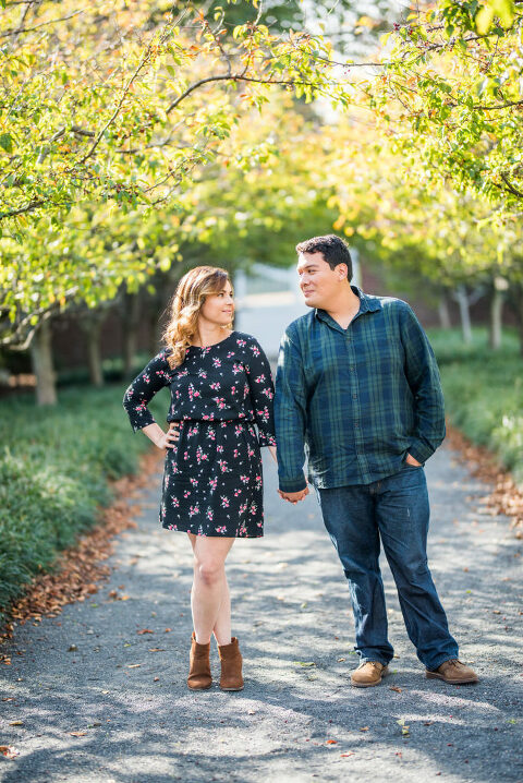 Golden Engagement Session Kaitlyn Ferris Photography Long Island Wedding Photographer