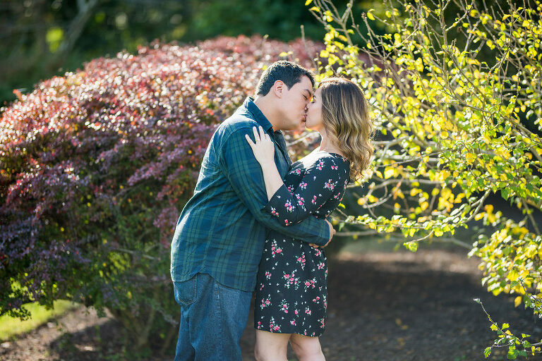 Golden Engagement Session Kaitlyn Ferris Photography Long Island Wedding Photographer