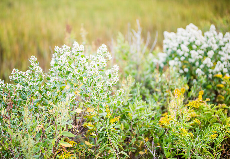 Autumn Engagement Session Kaitlyn Ferris Photography Long Island Wedding Photographer