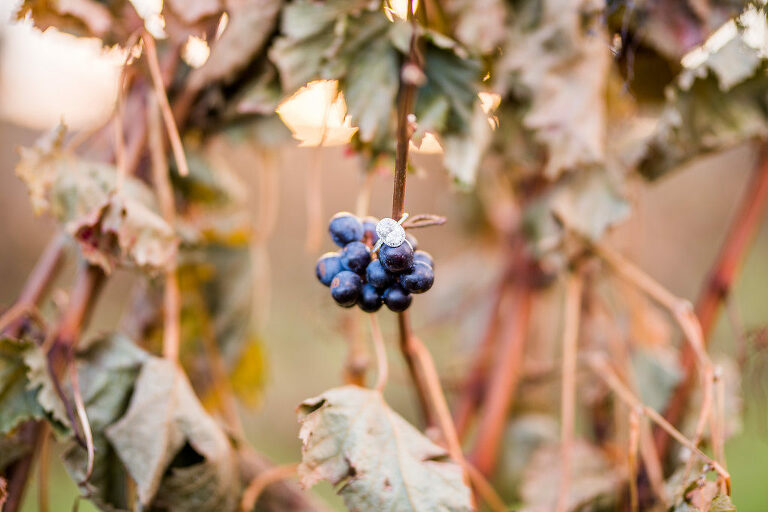 Sun Soaked Engagement Kaitlyn Ferris Photography Long Island Wedding and Engagement Photographer