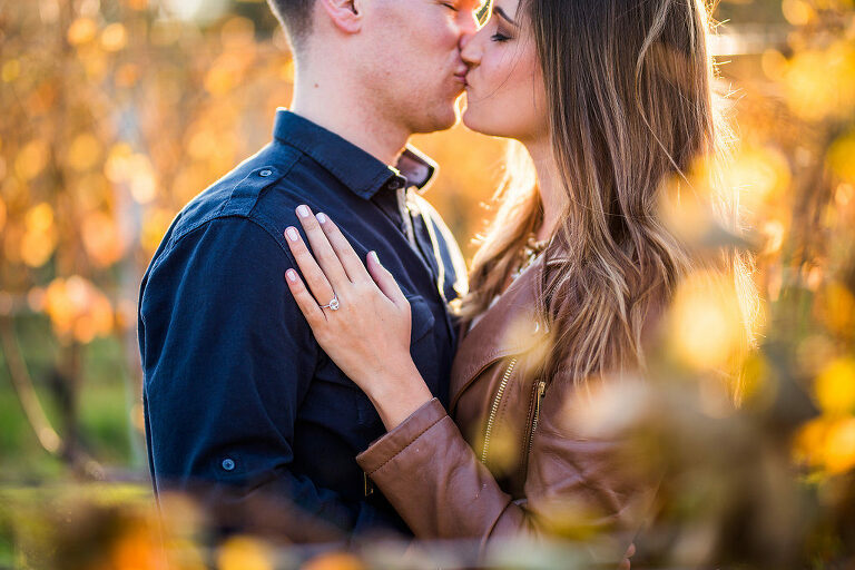 Sun Soaked Engagement Kaitlyn Ferris Photography Long Island Wedding and Engagement Photographer