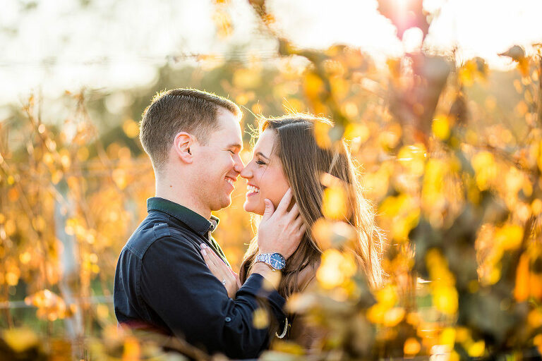 Sun Soaked Engagement Kaitlyn Ferris Photography Long Island Wedding and Engagement Photographer